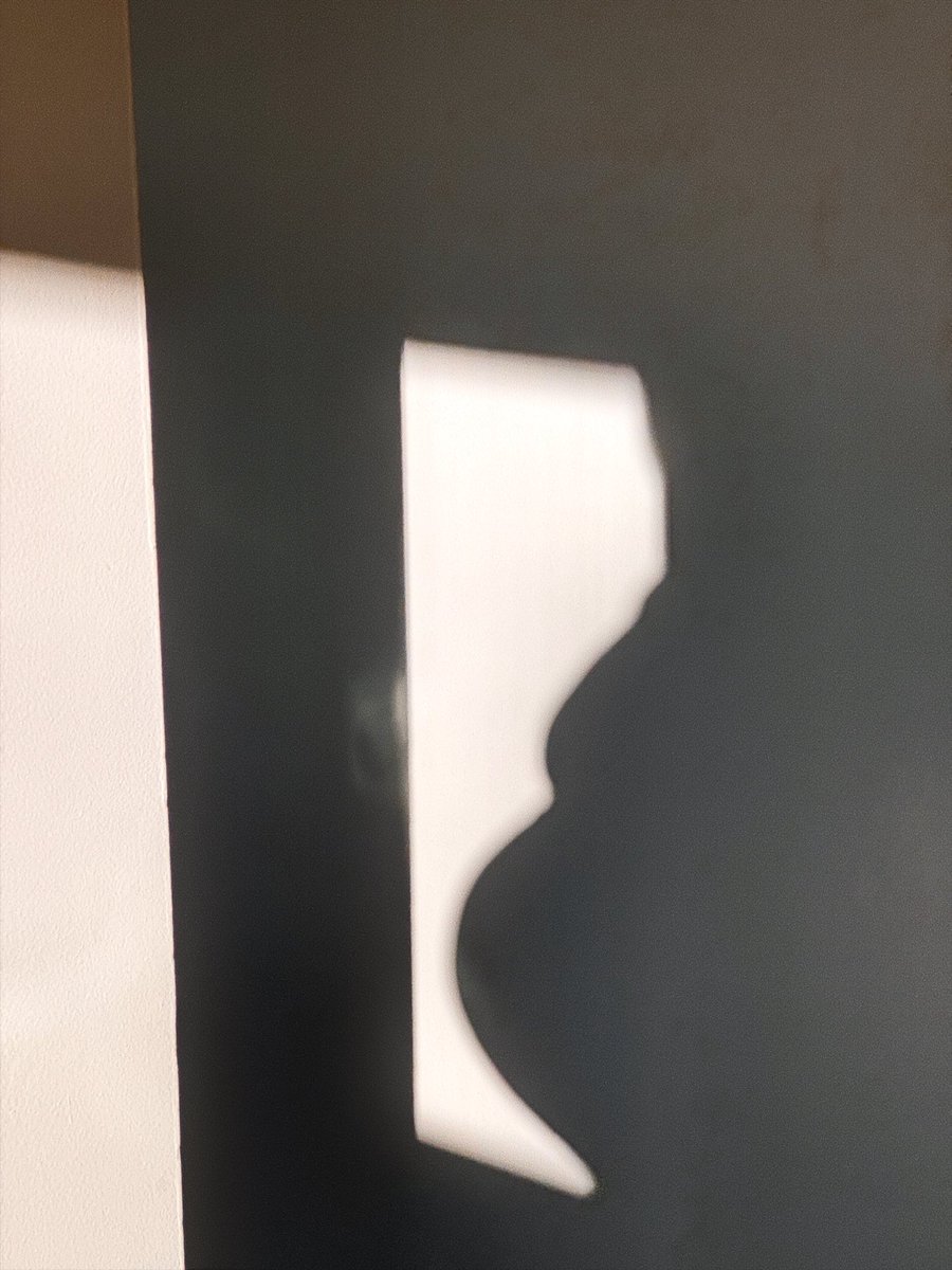 Grace Walker tweet media