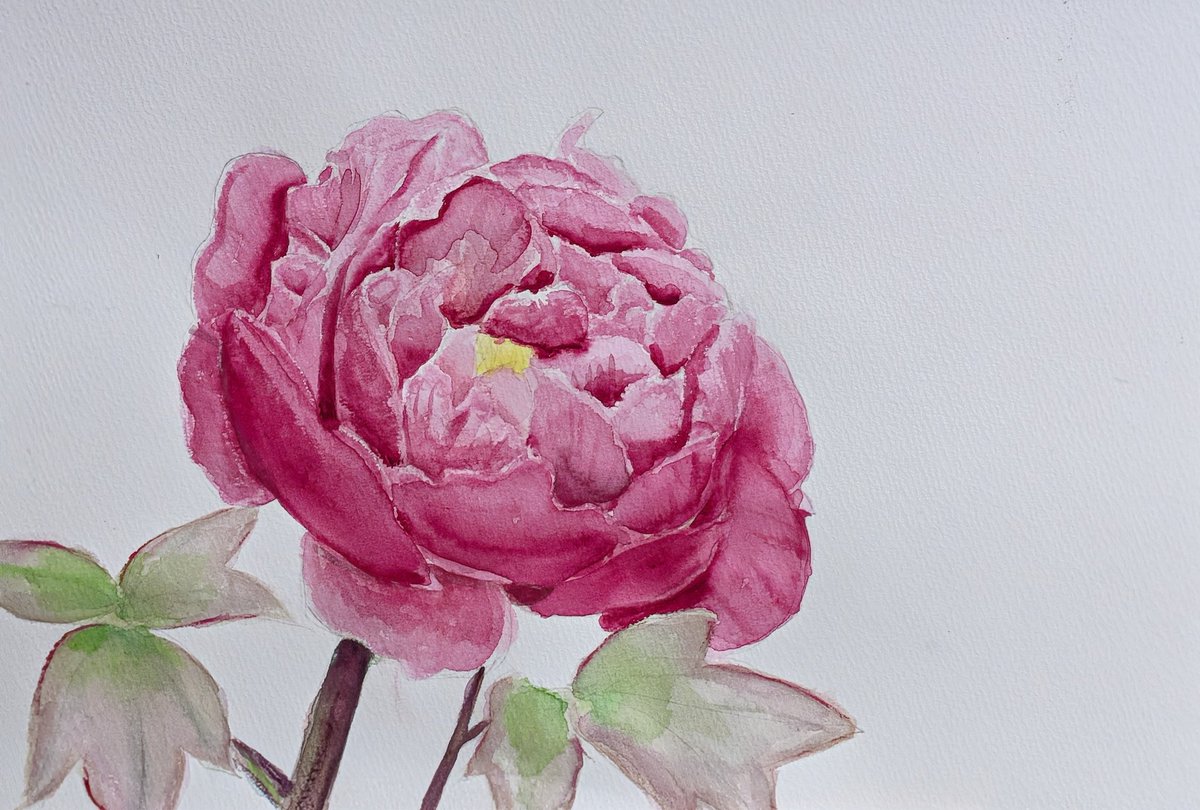 渡邉麻衣子 on X