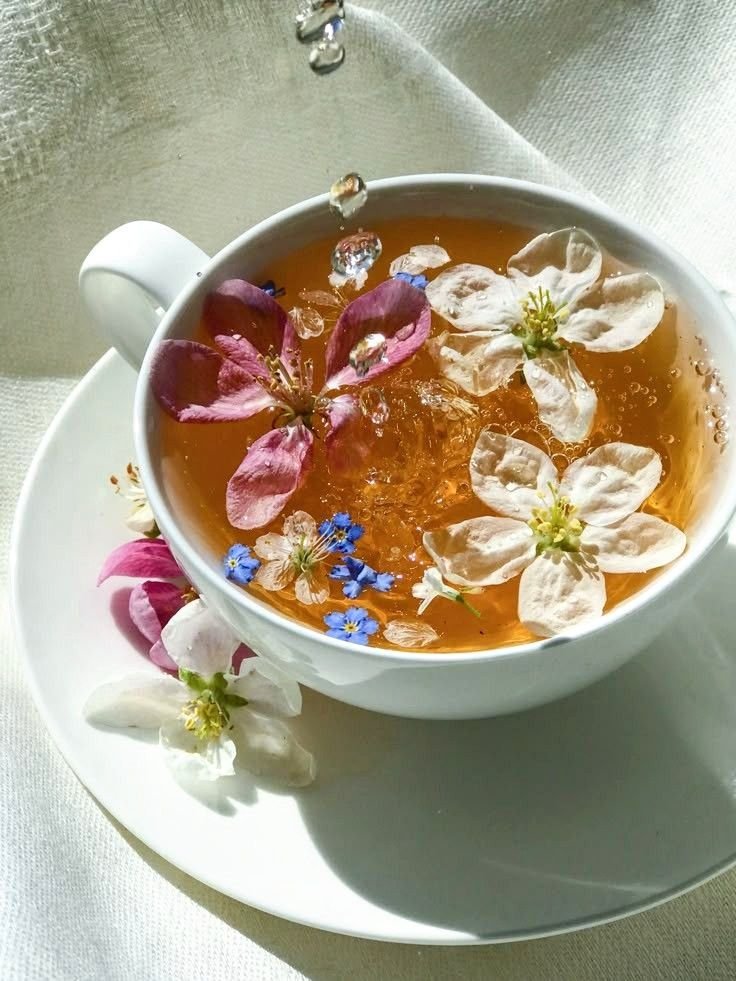 La vie est belle tweet media