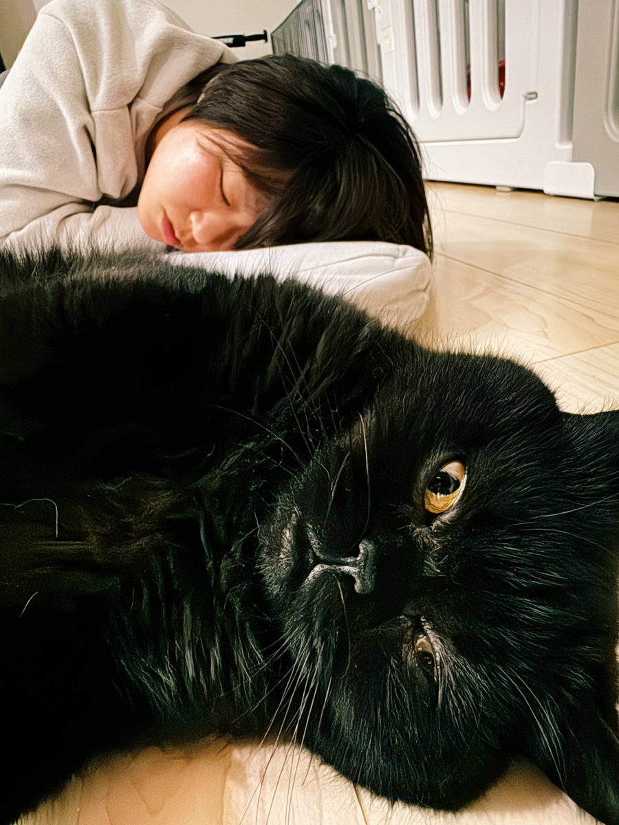 ざわめき🌪🥺 (@zawamekipien) on Twitter photo 