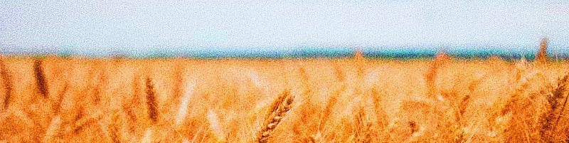 Newsletter du Réseau des Autrices || 11. 2025 - mailchi.mp/a48dd88cf243/n…