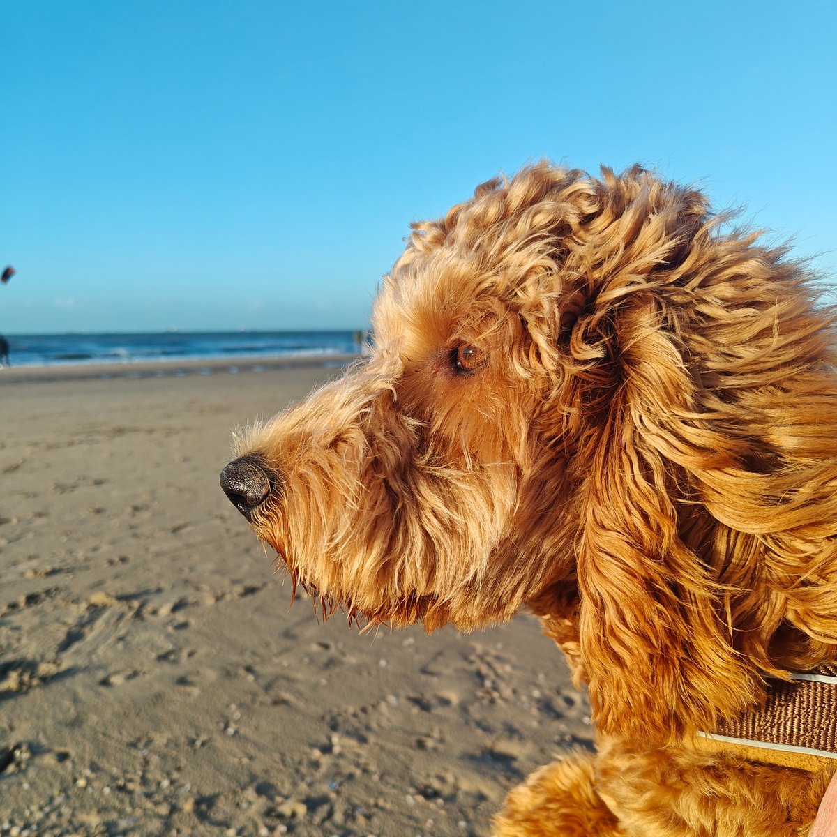 Altijd een heerlijke plek maar nu helemaal!