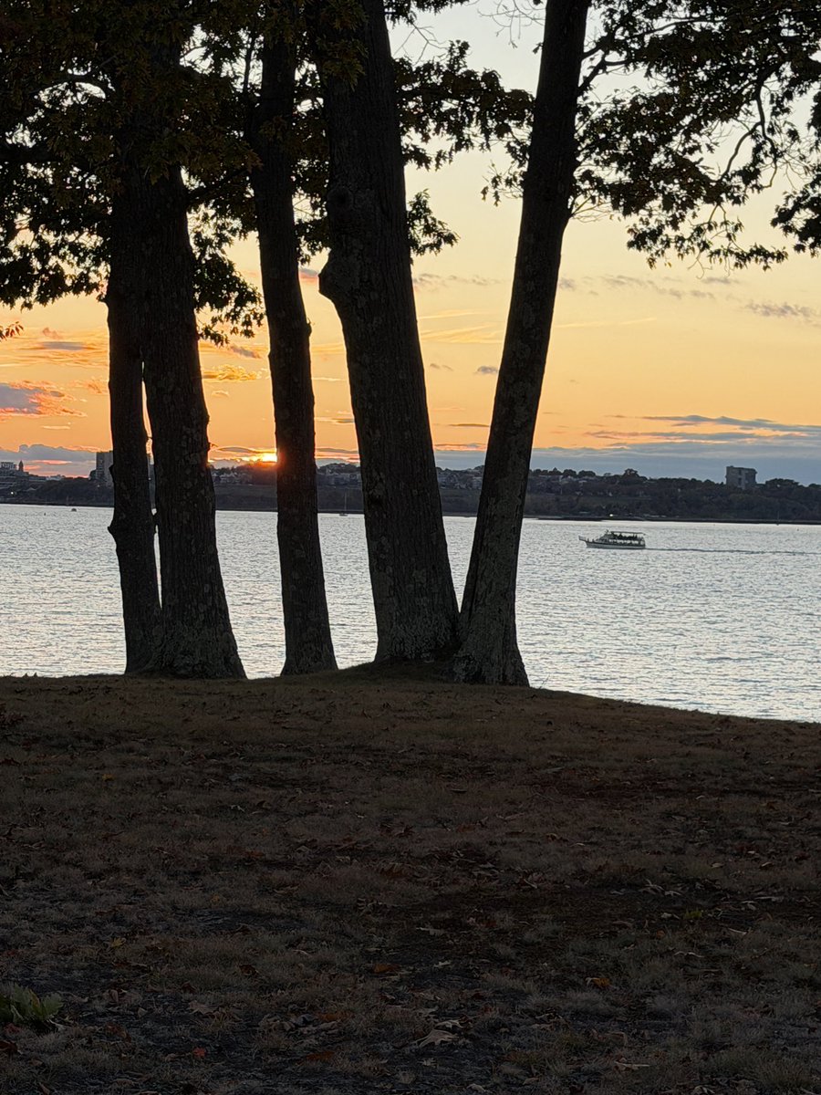 Matthew Reed tweet media