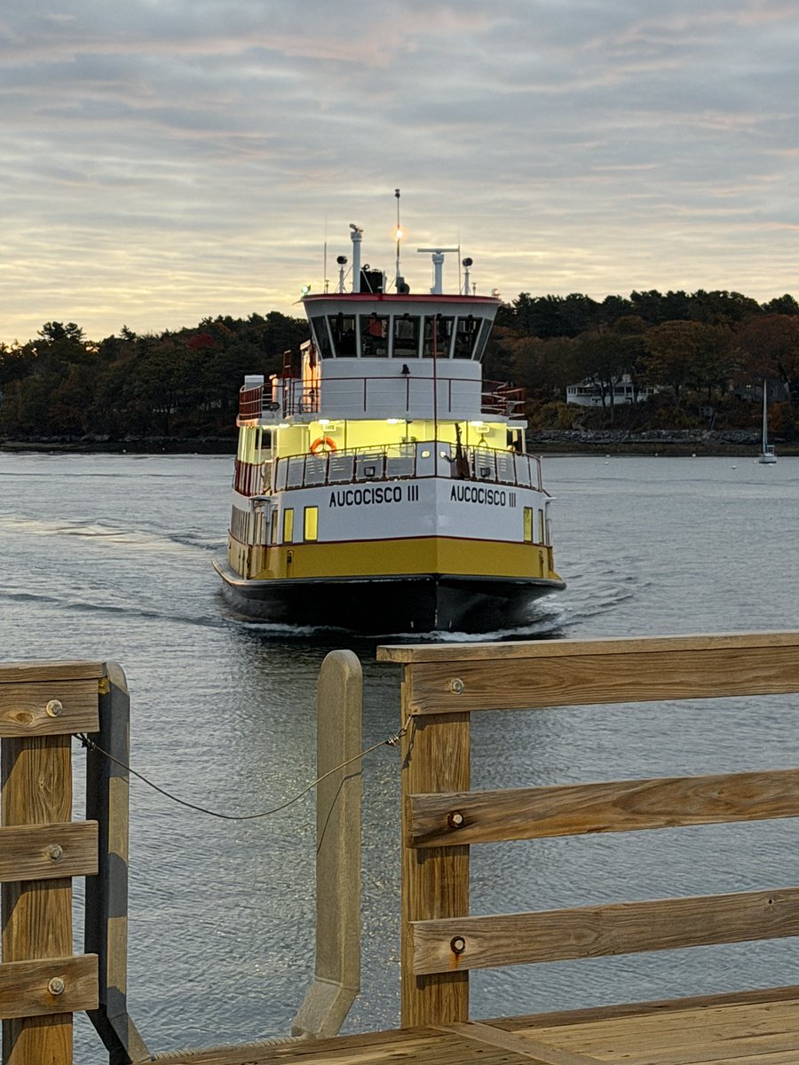 Matthew Reed tweet media