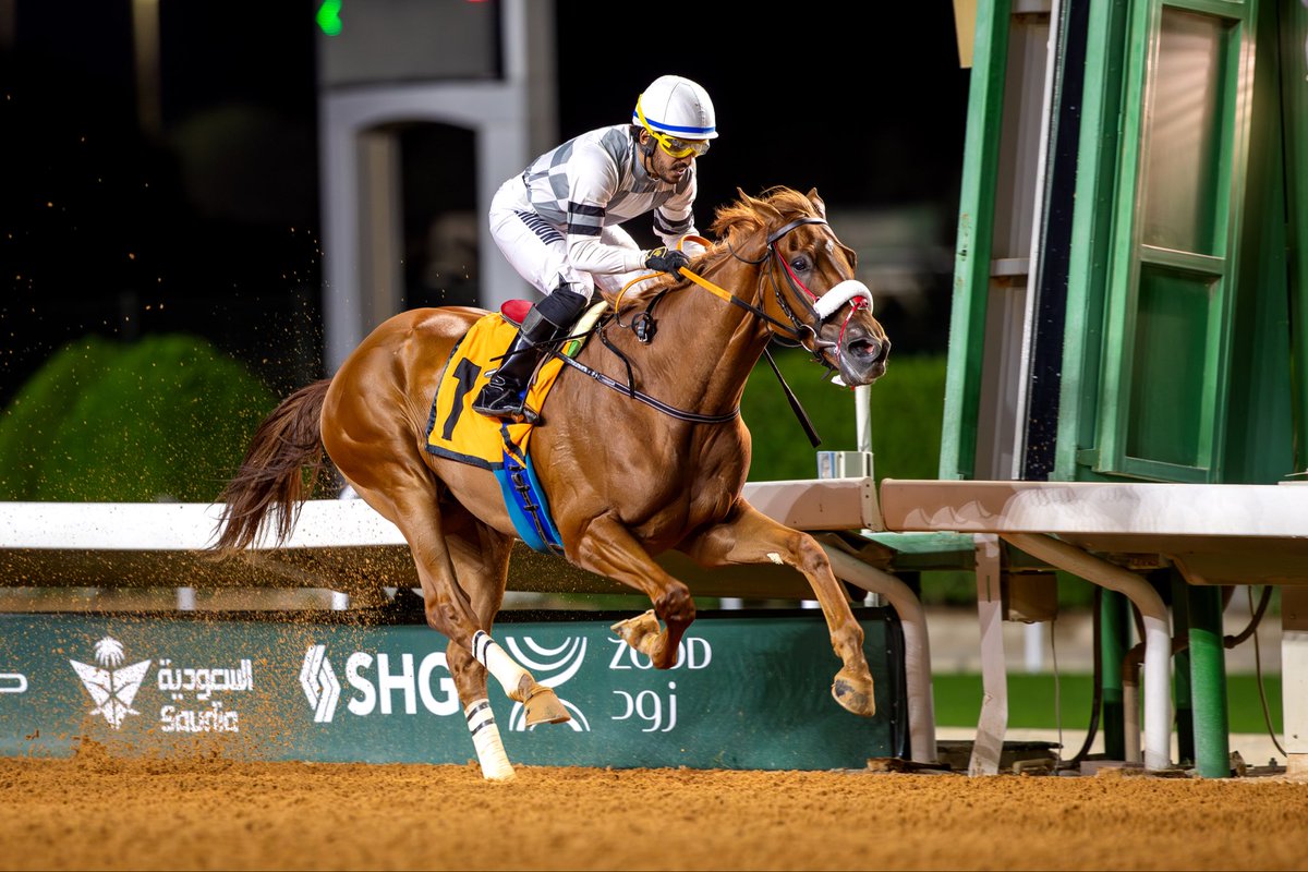 JockeyClub_SA's tweet photo. نتيجة الشوط الـ 9 الحفل ( 29 ) 

◻️الفائز : سعودي واريور
◻️المالك : سلطان عبدالله سالم الغنام
◻️المدرب : احمد الشايع
◻️الخيال : خالد الميموني
◻️المسافة : 1600م

#نادي_سباقات_الخيل
#موسم_سباقات_الرياض https://t.co/5Gu7Oa3M4J
