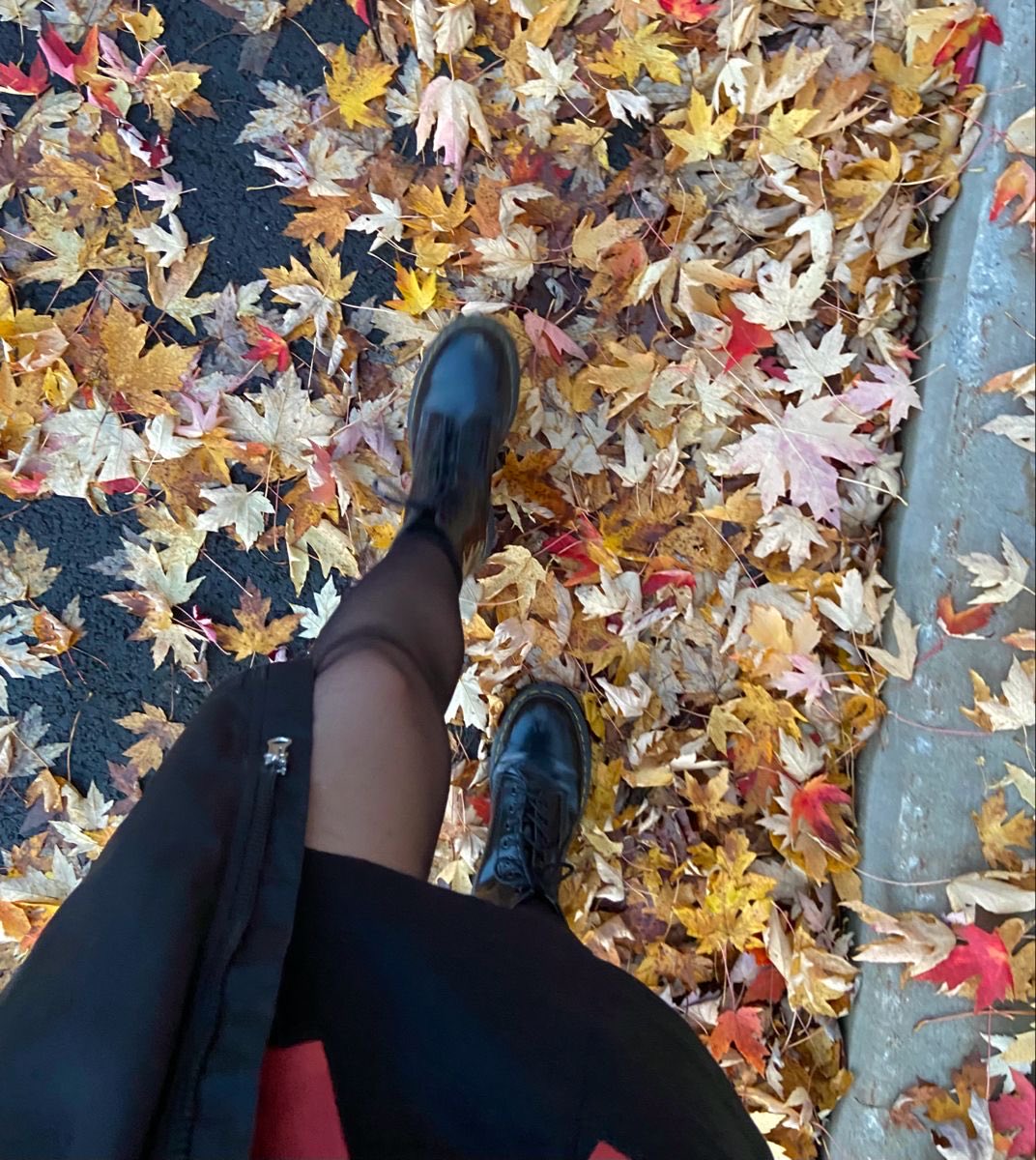 Herbstlaub unter meinen Schuhen,
und du wärst am liebsten auch da, hm?
Zerdrückt, wie dein Kontostand nach meiner Aufmerksamkeit. 🍁

#GoddessEnergy #feetworshi̇p #latina