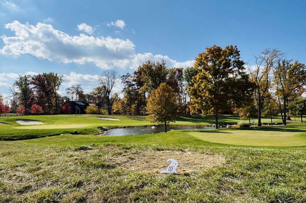 bilgema's tweet photo. Recent sights @ #thesagamoreclub ⛳️ #fallgolf
Thanks AK for creating a number of 👻 tees #spooky☠️ to mix it 🆙 #Halloween2025
Spotted a garter🐍 (cold-tolerant) as well. #wildlife https://t.co/iSr3GlfbHr