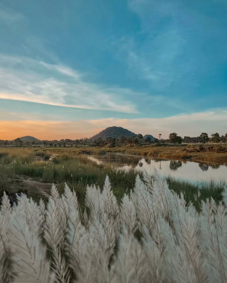 Snapdragon's tweet image. As we welcome a new month, we&apos;re kicking off our next #ShotOnSnapdragon theme. Pause and appreciate the great outdoors by capturing your take on #NatureNovember, and don&apos;t forget to tag us. 🌲🐞​

📸: eldhothariyan_phoneographer on IG and @Parthac121