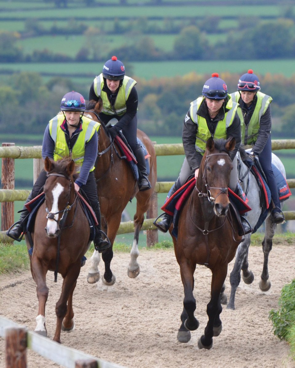 ownersgroupuk's tweet photo. Bond Broker (first pair, right side) and Inca De Lafayette out on morning exercise, both in training with Paul Nicholls.

#BondBroker #IncaDeLafayette #OwnersGroup https://t.co/6VowKVoOtD