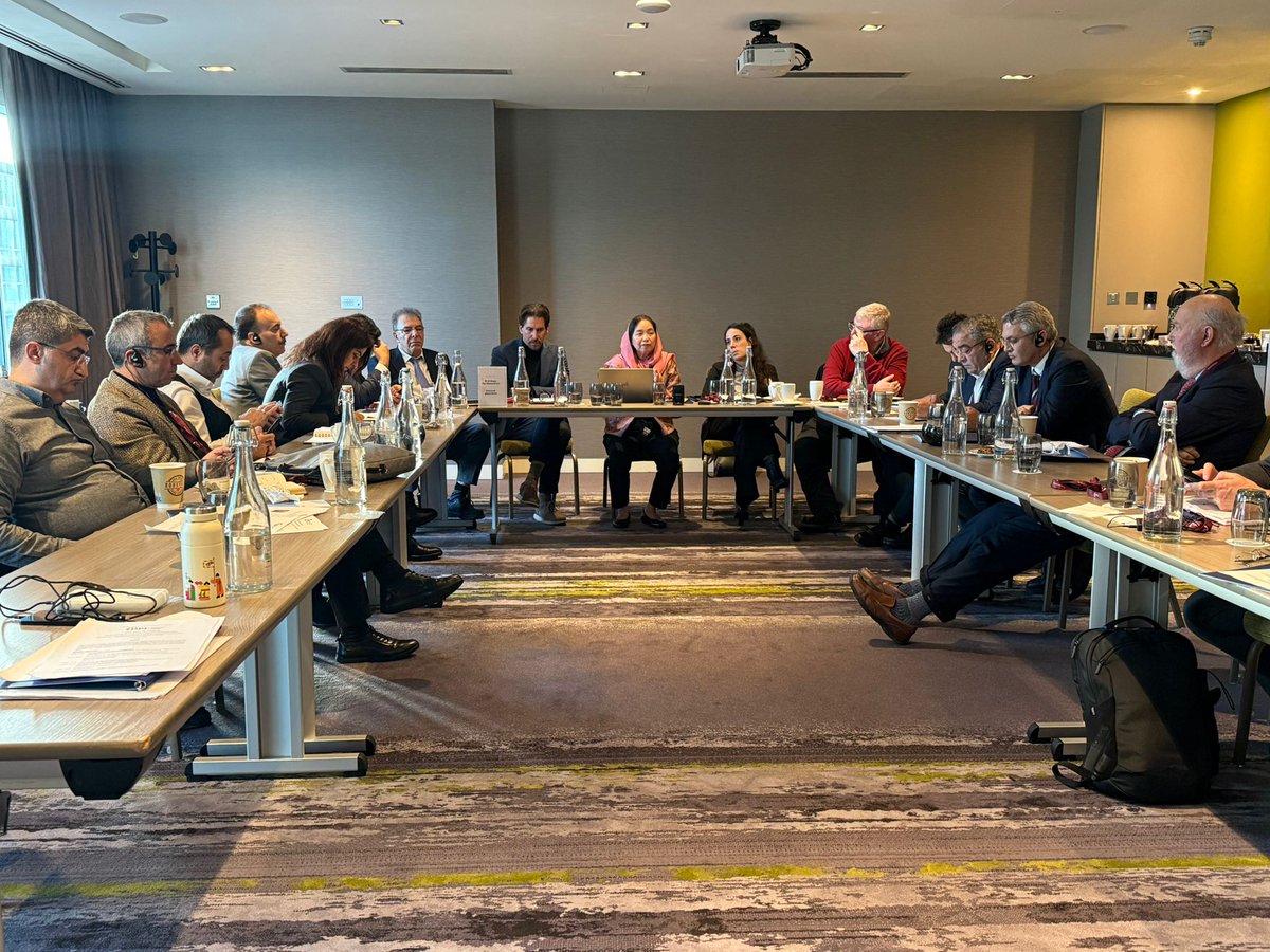 Demokratik Gelişim Enstitüsü tweet media