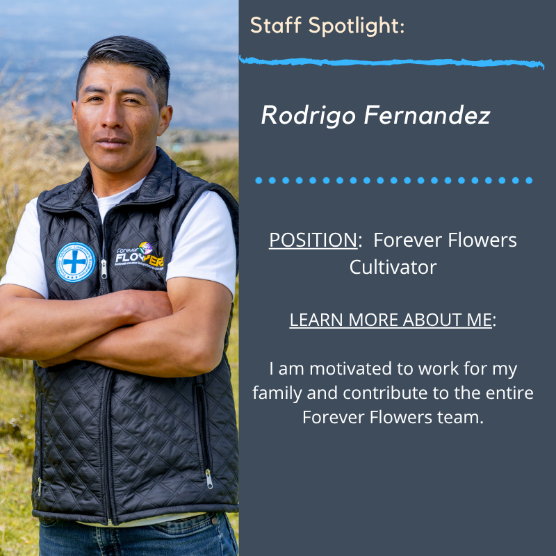 SantiagoPartner's tweet photo. Our cultivators work hard to ensure good flower growth. We are grateful for Rodrigo's desire to contribute to the entire team. Thank you, Rodrigo!

https://t.co/z56QfU77Ce

#SantiagoPartnership #EcuadorMission #StaffAppreciation #ForeverFlowers #StaffSpotlight https://t.co/p7XoYJac8G