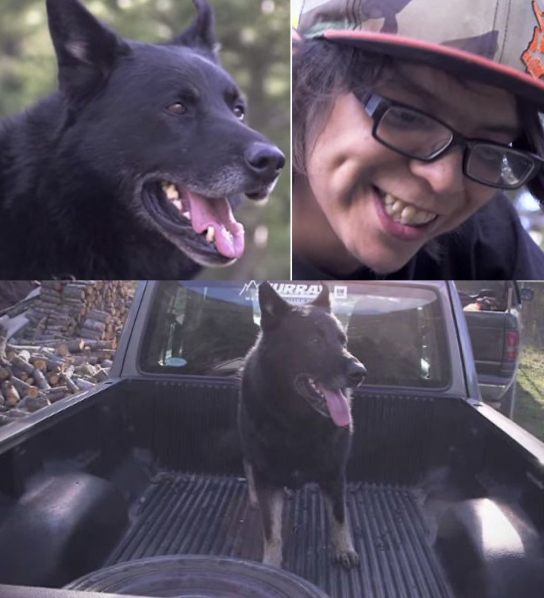 MorbidKnowledge's tweet image. In 2014, a teenager named Joe Phillips-Garcia and his dog, Sako, were involved in a deadly car accident in the remote wilderness of British Columbia. Joe was the only survivor, left injured and stranded miles from help.

Over the next 40 hours, Sako refused to leave Joe’s side.…