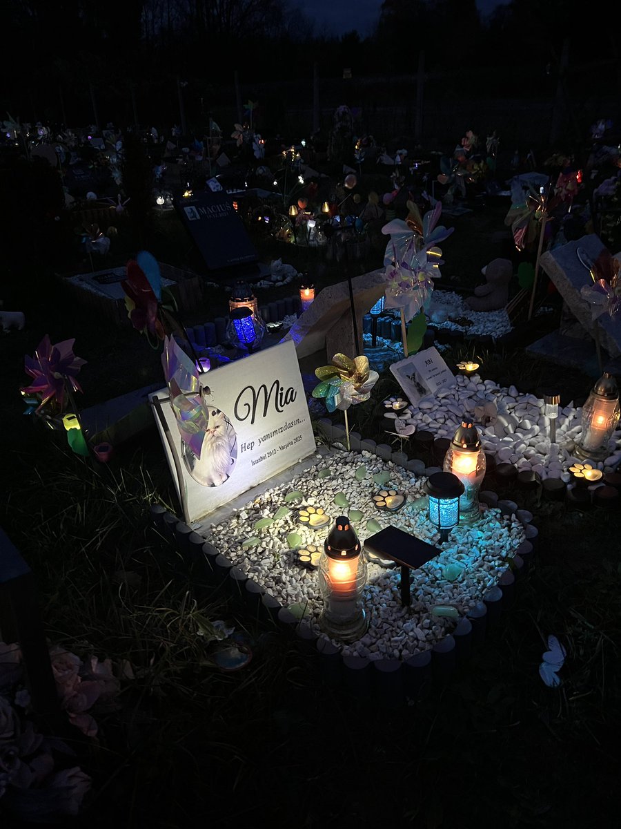 Varşova’da böyle bir Hayvan Mezarlığı olduğunu ve canımın içi Mia’cığımın da orada olduğunu biliyor muydunuz?