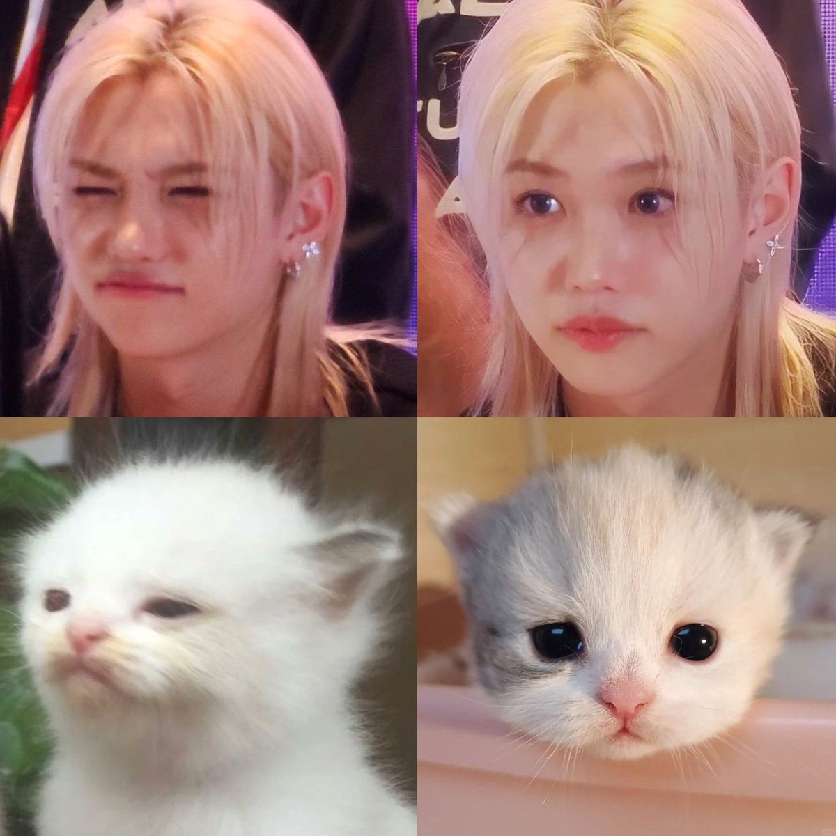 Rye🖤 ₍^. .^₎⟆ tweet media