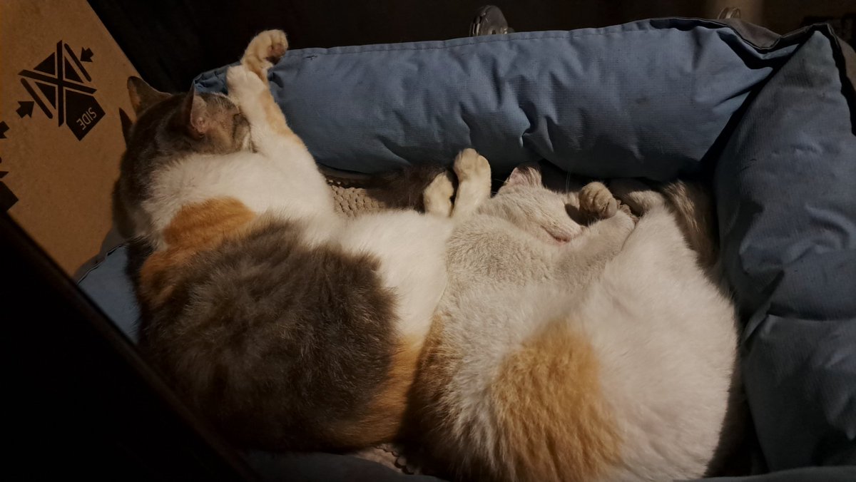 gigles309's tweet photo. Dijagain sama ibu anak ini. Loph banget punya mereka berdua 🥰🥰🥰 https://t.co/fqGKS1U3E2