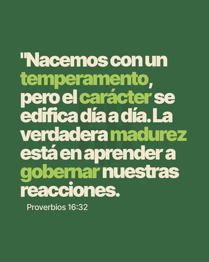 el Siervo tweet media