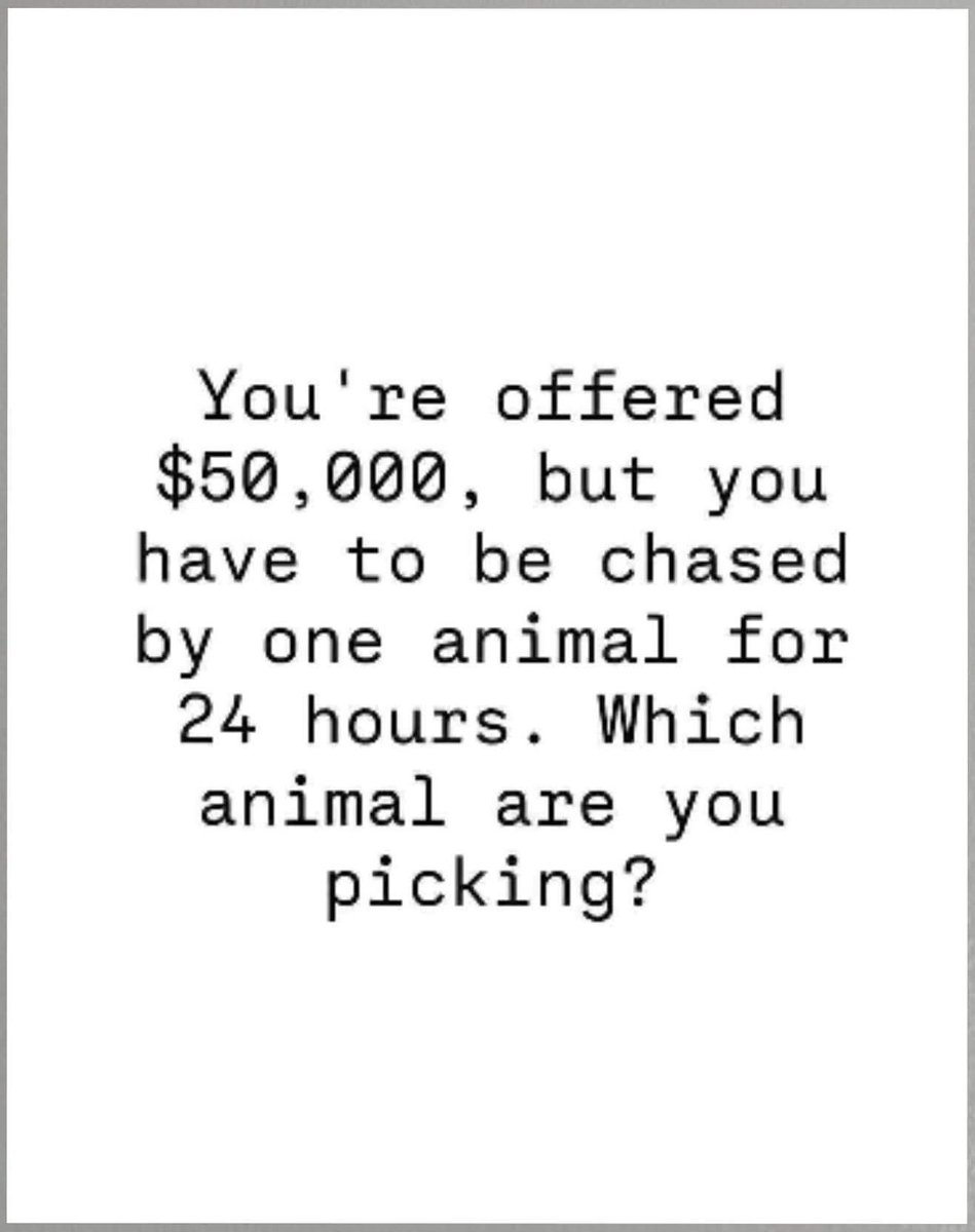 CLG98264897's tweet image. 