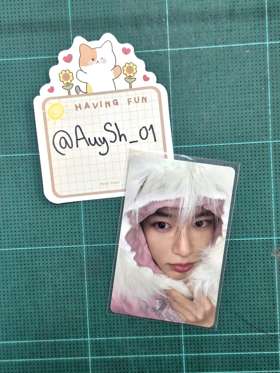 AuySh_01's tweet image. 🍓ꕤ.▪︎꒰ พร้อมส่ง/wts ꒱‧₊𐙚🍰

☆ 340.- ชิอน【Color limited】

🚚 : รวมส่งคับ
📮 : สั่งซื้อทาง Mention / DM
[ ตอบช้ารบกวนเมนชั่นไว้นะคับ 🙇🏻 ] #ตลาดนัดnct #ตลาดนัดnctwish