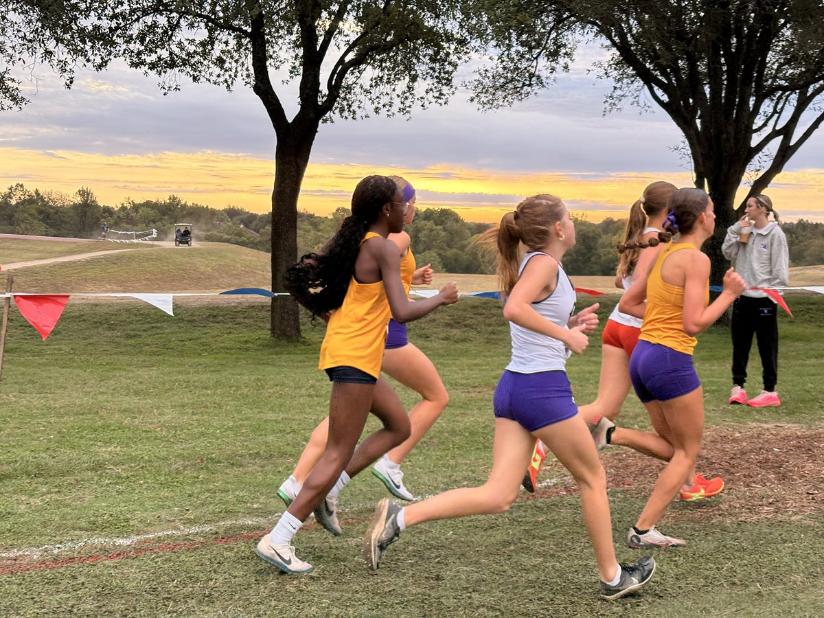 FREEMAN XC tweet media