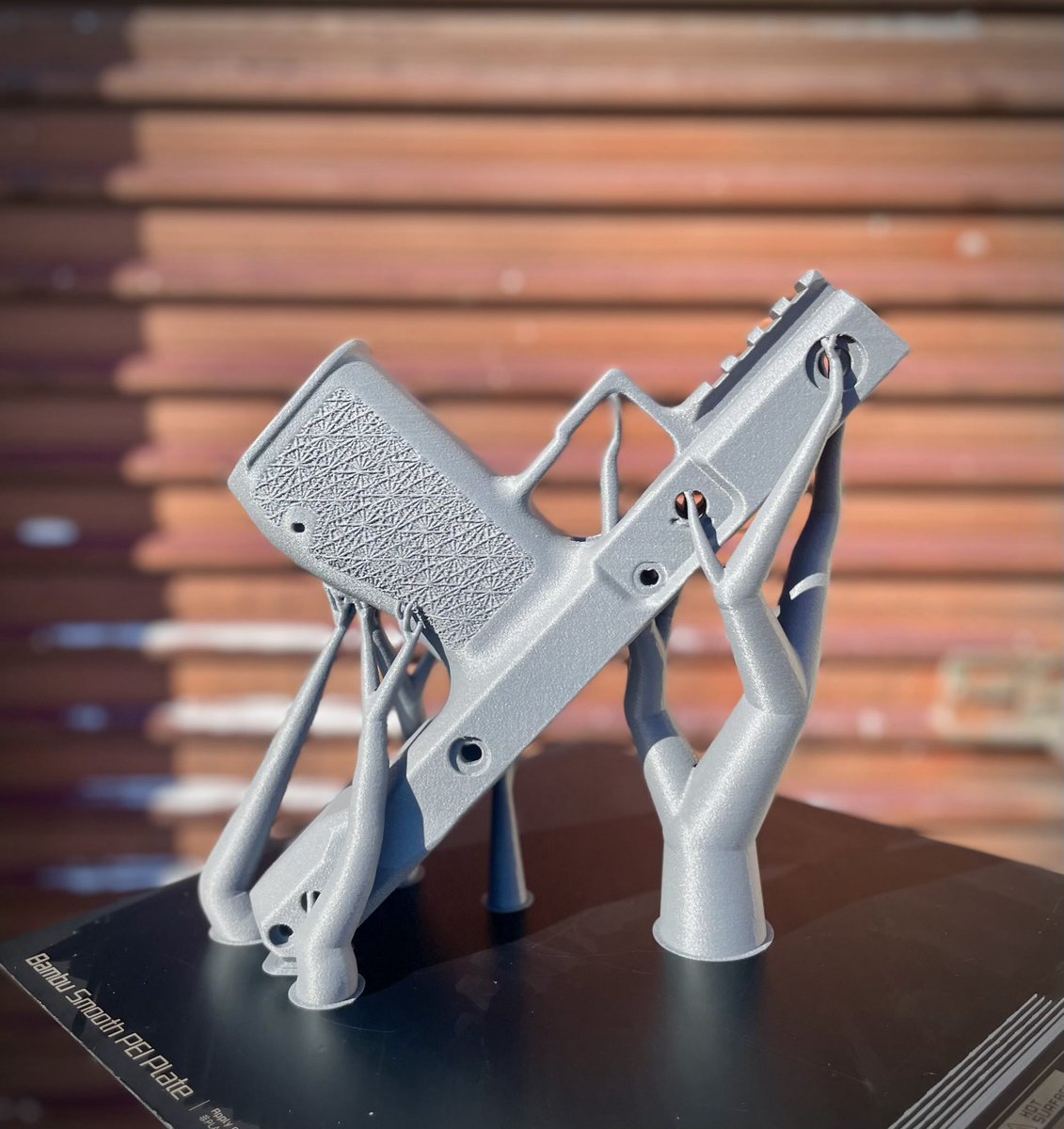 Trees speak to one another through the mycorrhizal network. They told me to print a gun . . .