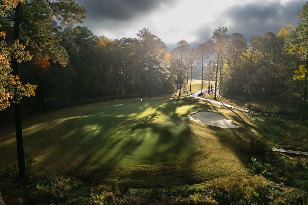 Wayne Freedman tweet media