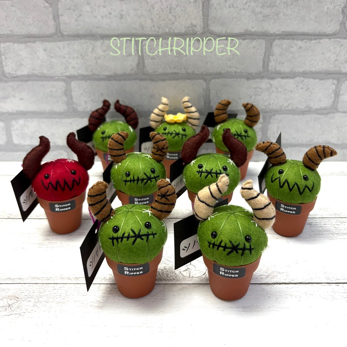 StitchripperD's tweet photo. 🌵『癒しのもふもふ展』に出展中です
ご都合がよろしければ是非お越しください♡
▫️11/1(土)~14(金)
▫️TSUTAYA BOOKSTORE 岡山駅前店
岡山市北区駅前町1-8-18イコットニコット2F
@TBS17604345 
#ステファニア #stephania #erecta #pierrei 
#stitchripper #スティッチリッパー https://t.co/G8ue0X5HcJ