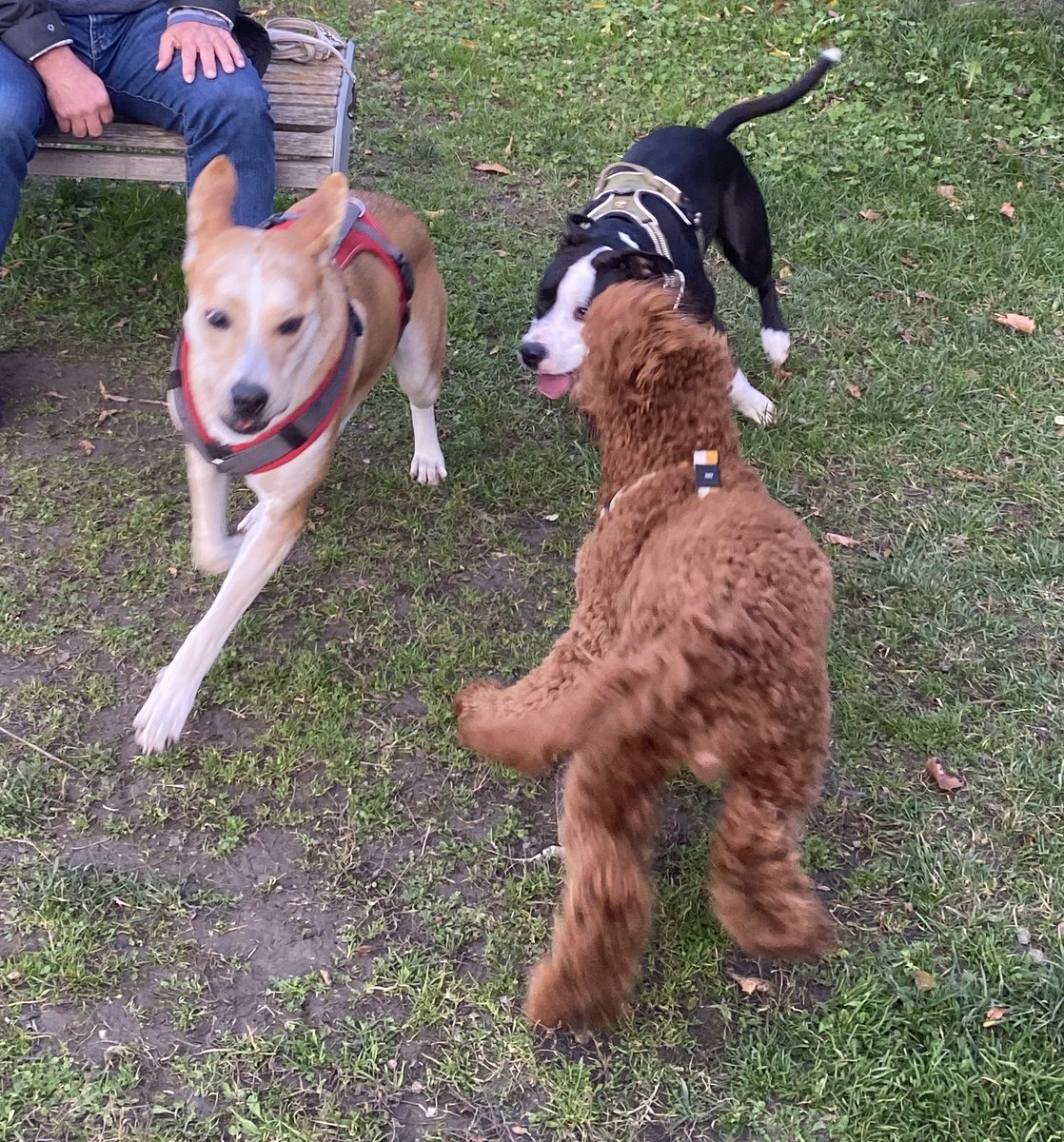 С корешами отметили начало ноября