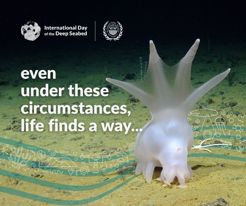 globalcompact's tweet photo. The deep seabed covers more than half of the planet and is home to life, minerals and ecosystems still being discovered. 

On #DeepSeabedDay, we honour global efforts to protect this vast resource through science, equity and responsible stewardship. 

#ClimateAction #UNGlobalCompact
