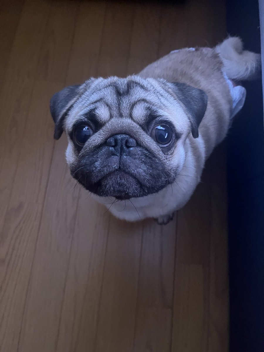 P’tite beauté du jour 🥰