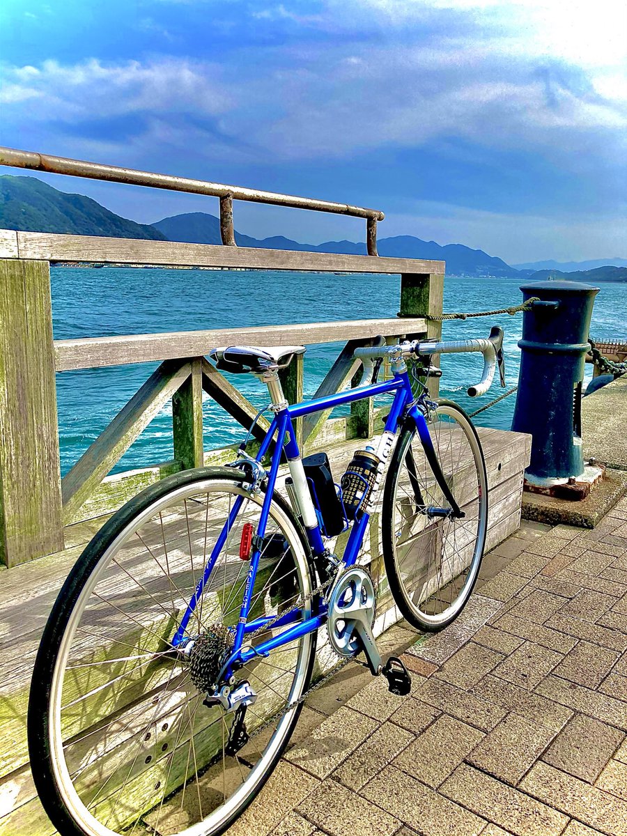 たたみん NEW Adidas Zx 8000 Atmos G-SNK 3 Size 13 MEN With Box! | eBay