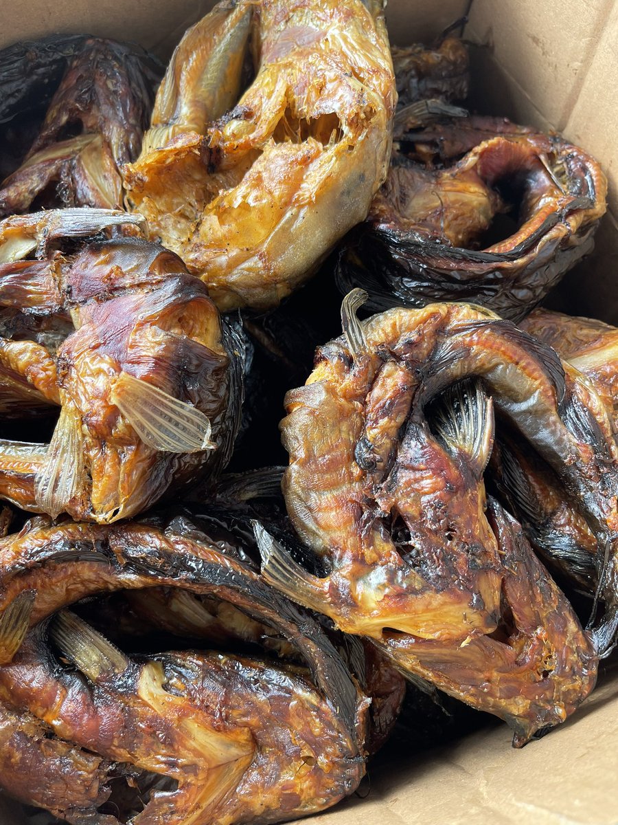 Delivered 65pieces of mixed catfish sizes to my client today and I can’t help but stay excited!
Thank you so much for keeping me in business 🙌

See the fish quality💕