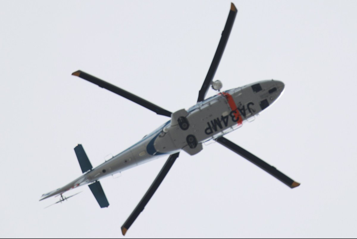 呼び捨て希望）ブタ (@norakini) / Posts / X