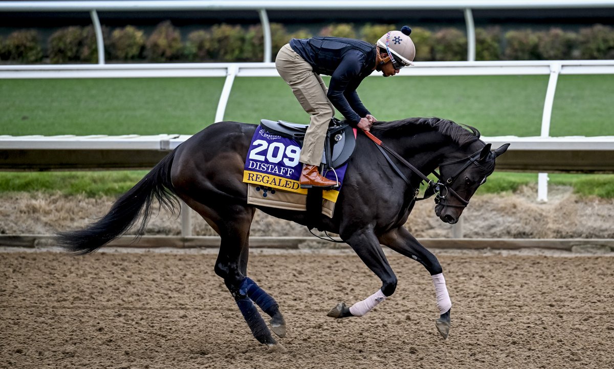 Wishing a safe and winning trip to our Inglis Digital USA grad, REGALED, running the <a href="/BreedersCup/">Breeders' Cup</a> Distaff today. 🏆 

We have been honored to cheer her on during this unforgettable journey. 

📸 Eclipse Sportswire / Breeders' Cup