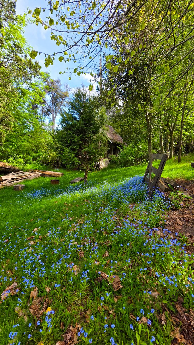 Bienvenido noviembre en nuestra amada Angostura ❤️