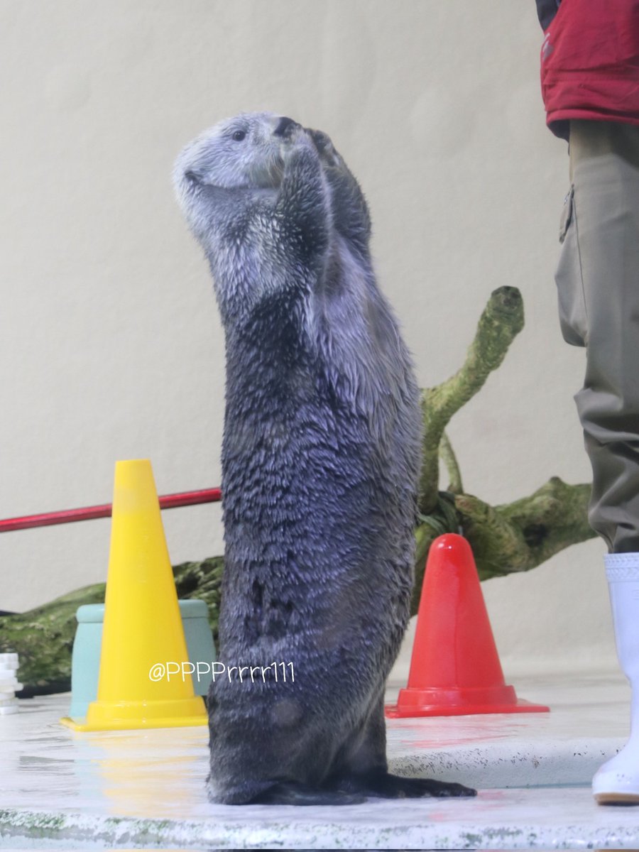 vey カンミン ポラ 행복한 한가위 되세요💙