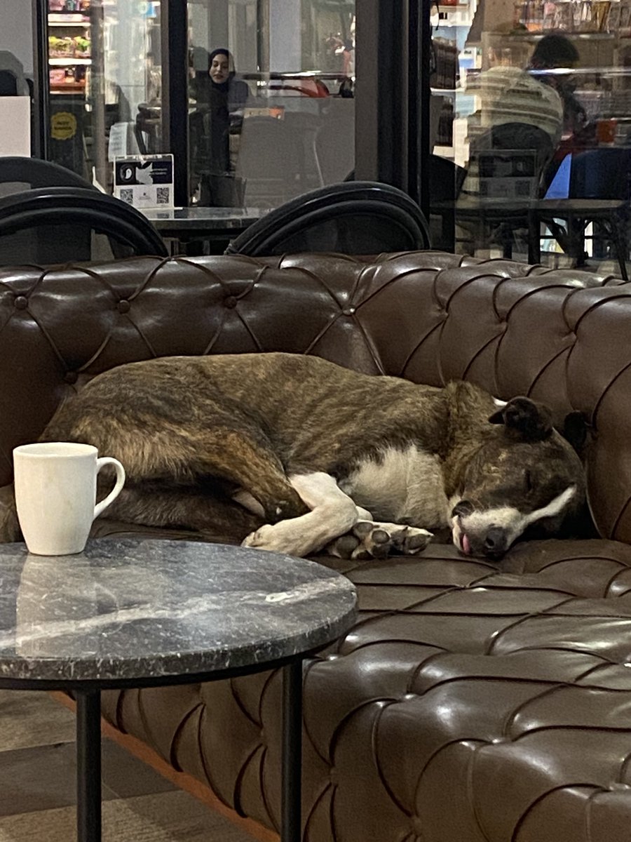 Dünyanın en konforlu uykusu