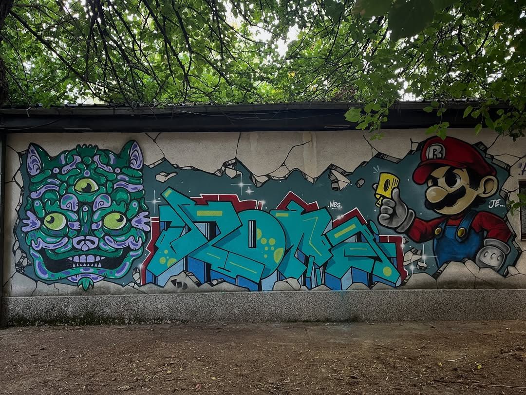 When Walls Speak: The Making of Our Murals
As part of the Walls to Bridges project in Bitola, our talented graffiti artists collaborated with young participants to bring powerful ideas to life. These murals are more than art – they are a symbol of unity and creativity.