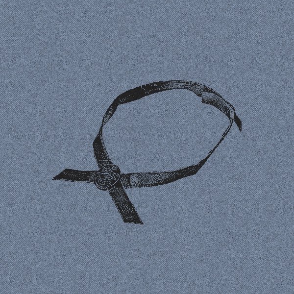 wndrlanding's tweet image. 