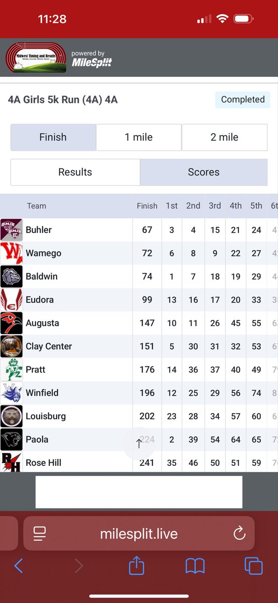 Coach Torg tweet media