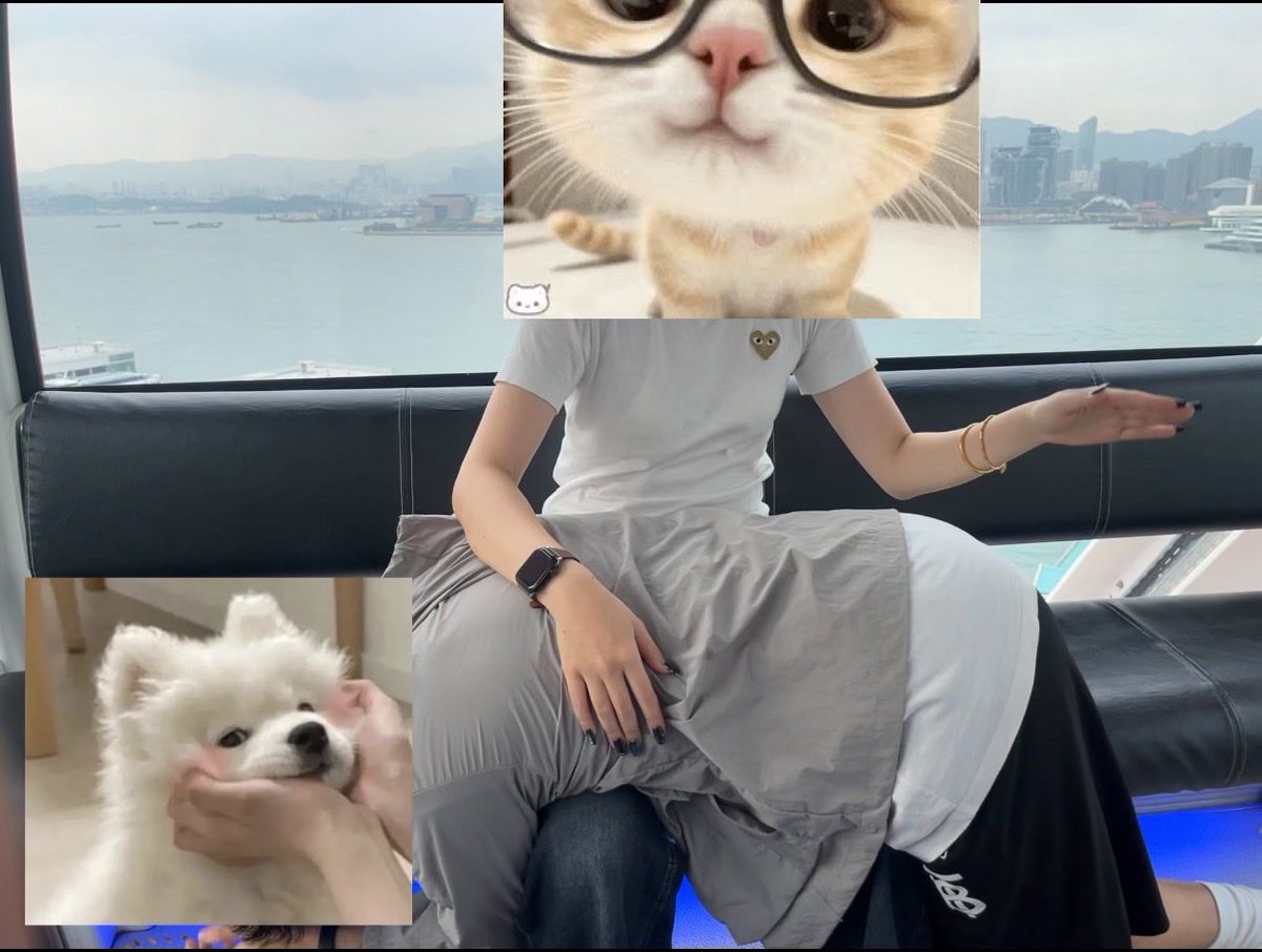 卿殷/八八 tweet media