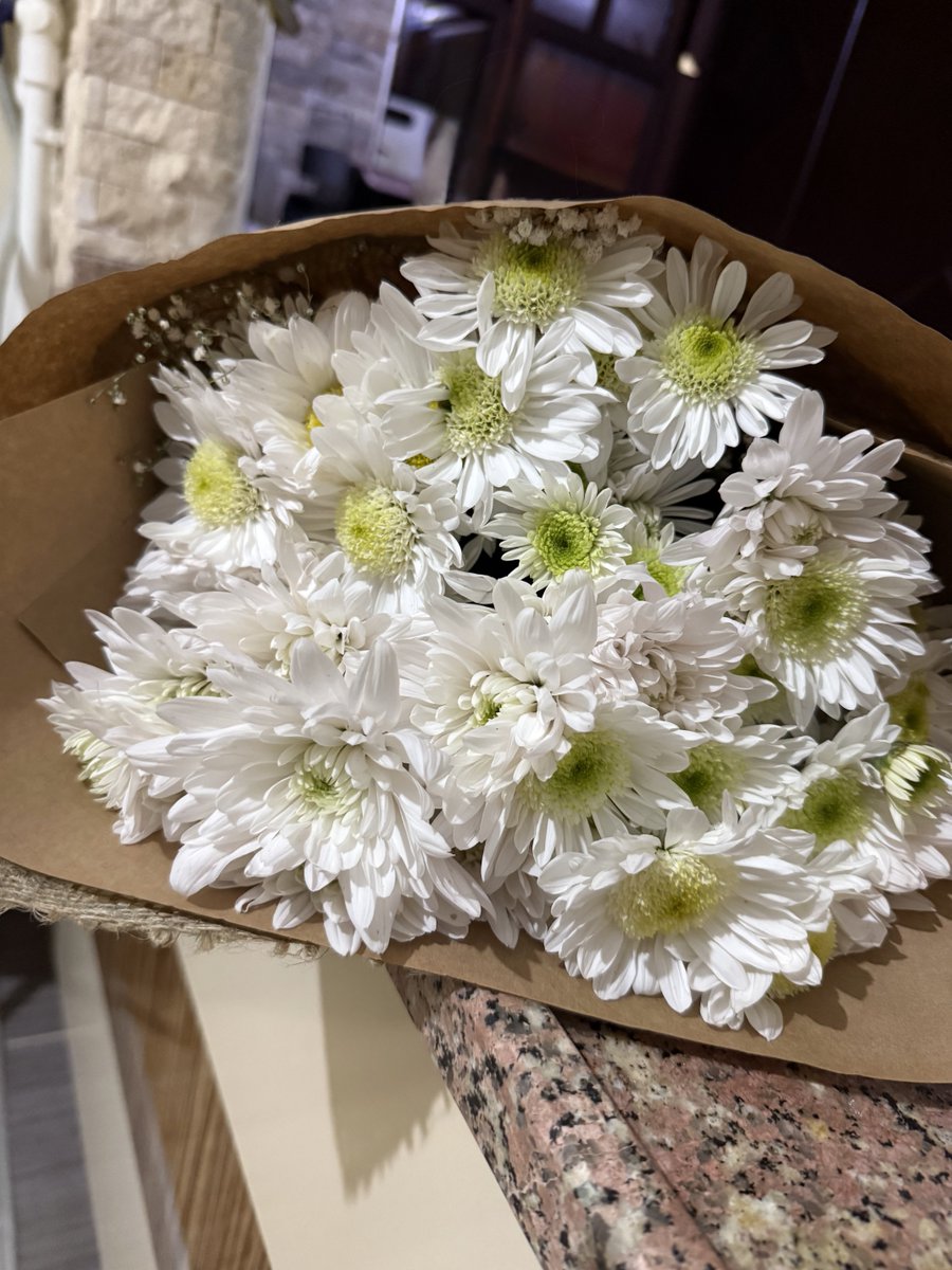 chionophile1_'s tweet photo. İlk Kasım, İlk Kasımpatı 💐 https://t.co/xlaAEk0fGv