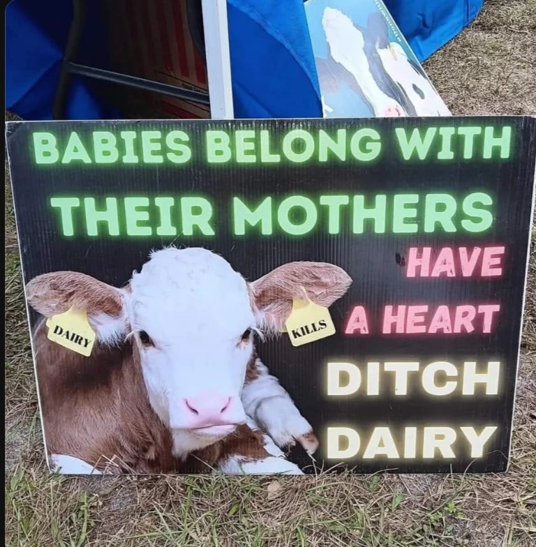 RavenTW's tweet image. Don&apos;t be the reason babies are taken from their moms to be tortured &amp;amp; murdered so humans can steal their milk. There are spiritual &amp;amp; physical consequences &amp;amp; it&apos;s just plain fucked up. Don&apos;t be a monster &amp;amp; ditch dairy.#BreakTheProgramming, #govegan, #animalliberation, #ditchdairy