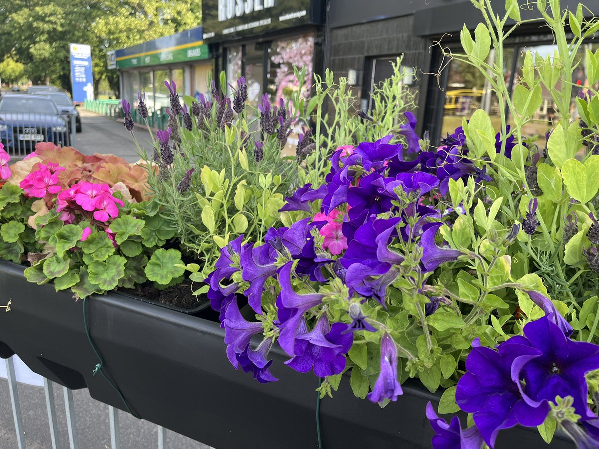 <a href="/harrydoyle96/">Harry Doyle 🌹🏳️‍🌈</a>  hi Harry we are a community group based in South Liverpool Cressington Wombles and was wondering if there is any funding we could get for an arts trail along St Mary’s and Aigburth Rd ? Spoke with <a href="/richardclein/">Richard Clein</a> and said to ask you to discuss ideas <a href="/AhmeekJane/">JaneAhmeek</a>