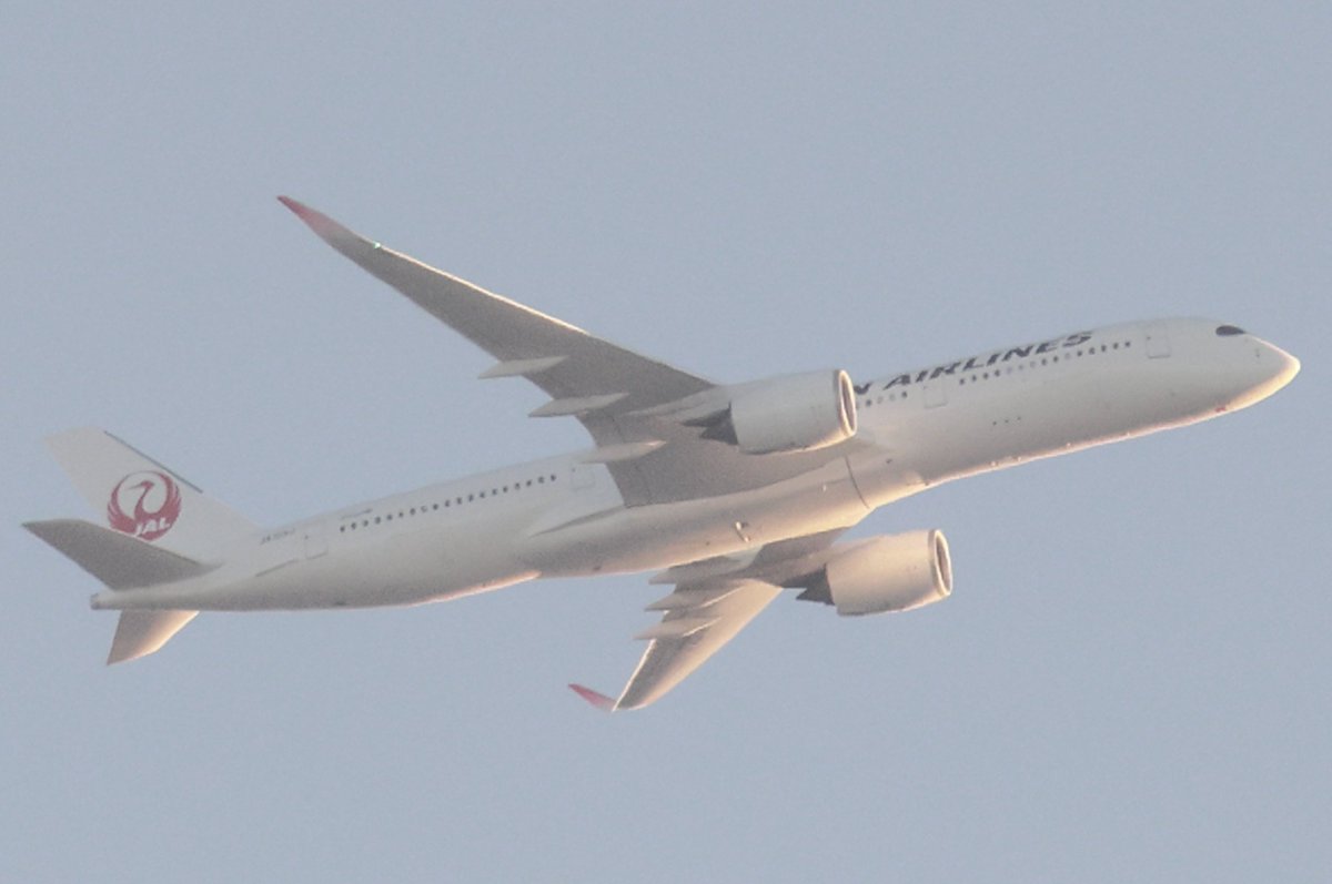 呼び捨て希望）ブタ (@norakini) / Posts / X