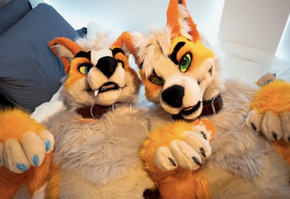 you caught us 🔥
📸 <a href="/TheFowlerWolf/">Fowler 🐾</a>