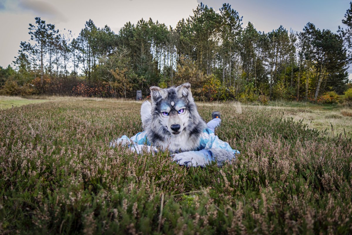 Fao Wusky tweet media