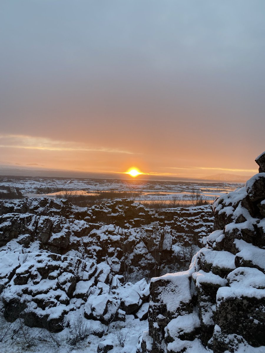 Jo Payne tweet media