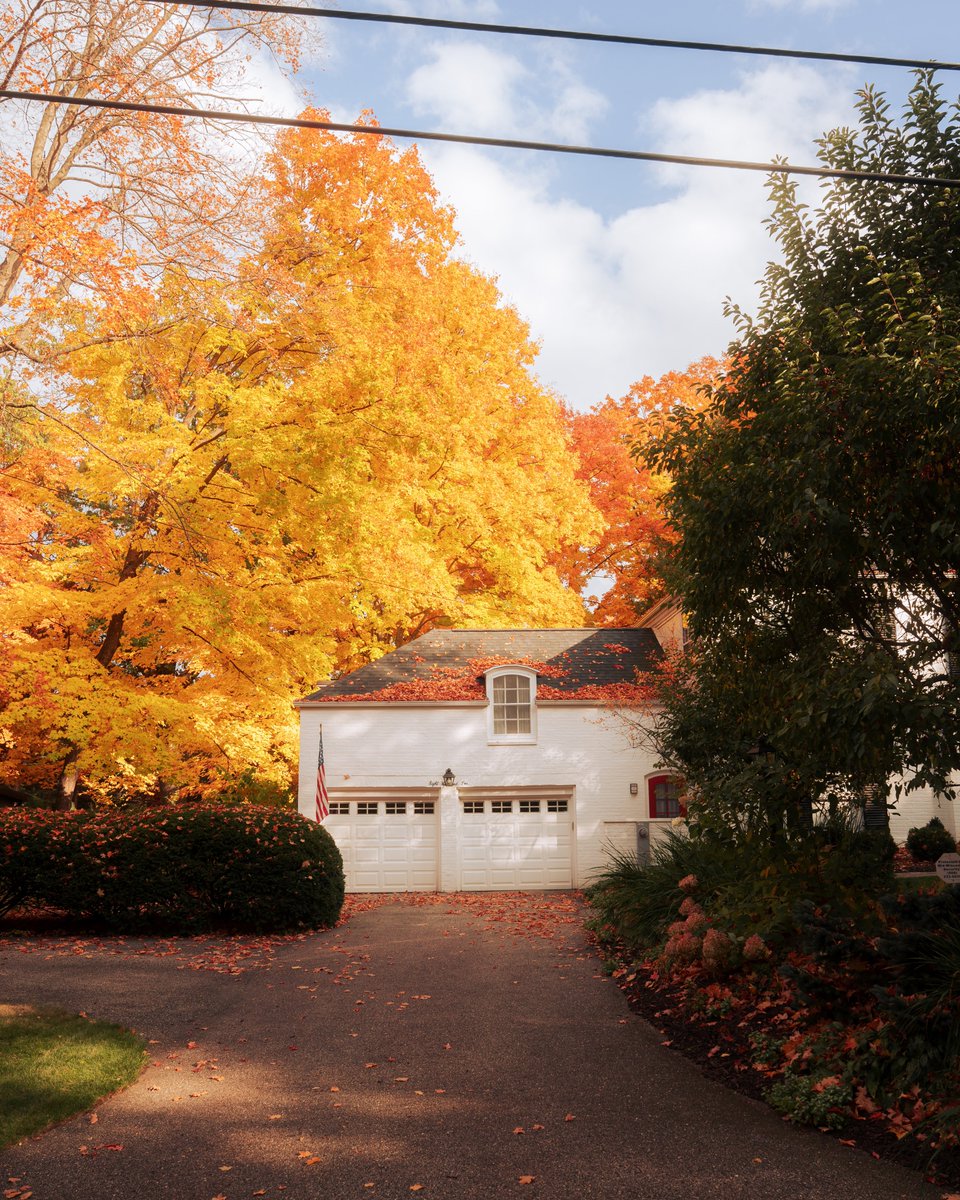 _thecolorfulkid's tweet image. A fall fairytale