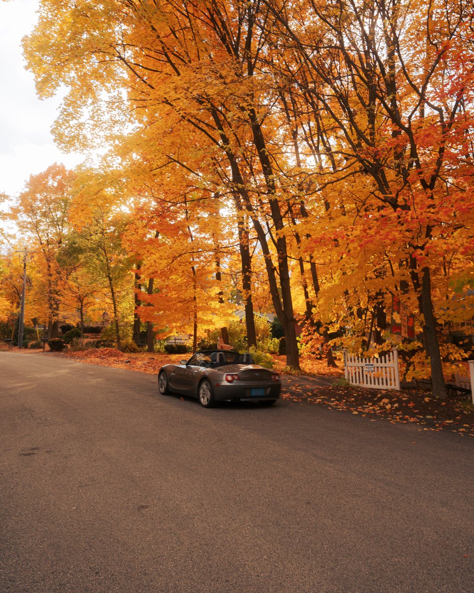 _thecolorfulkid's tweet image. A fall fairytale