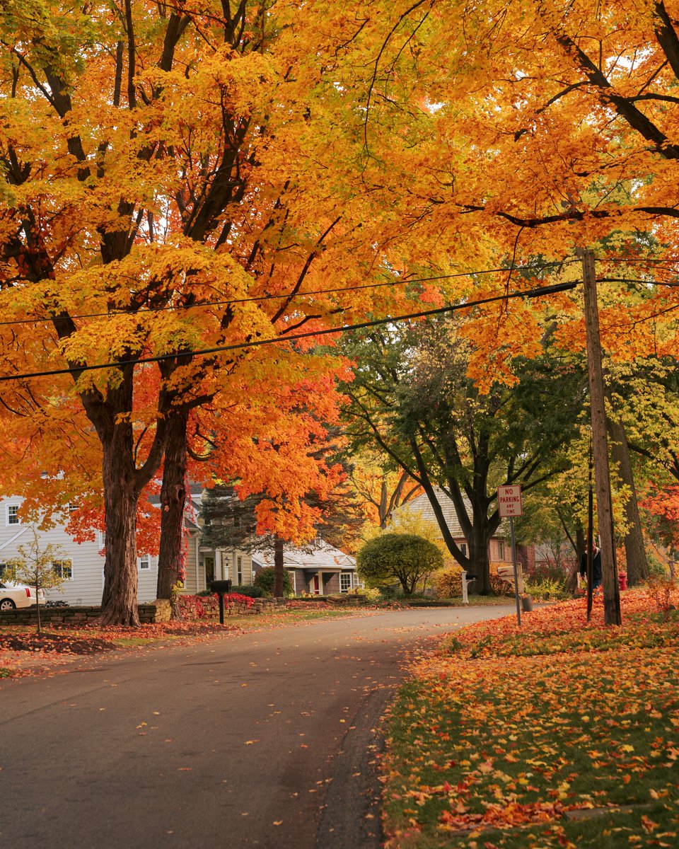 _thecolorfulkid's tweet image. A fall fairytale